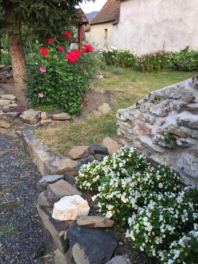 Luis Golyas Haza Villa Raposka Dış mekan fotoğraf