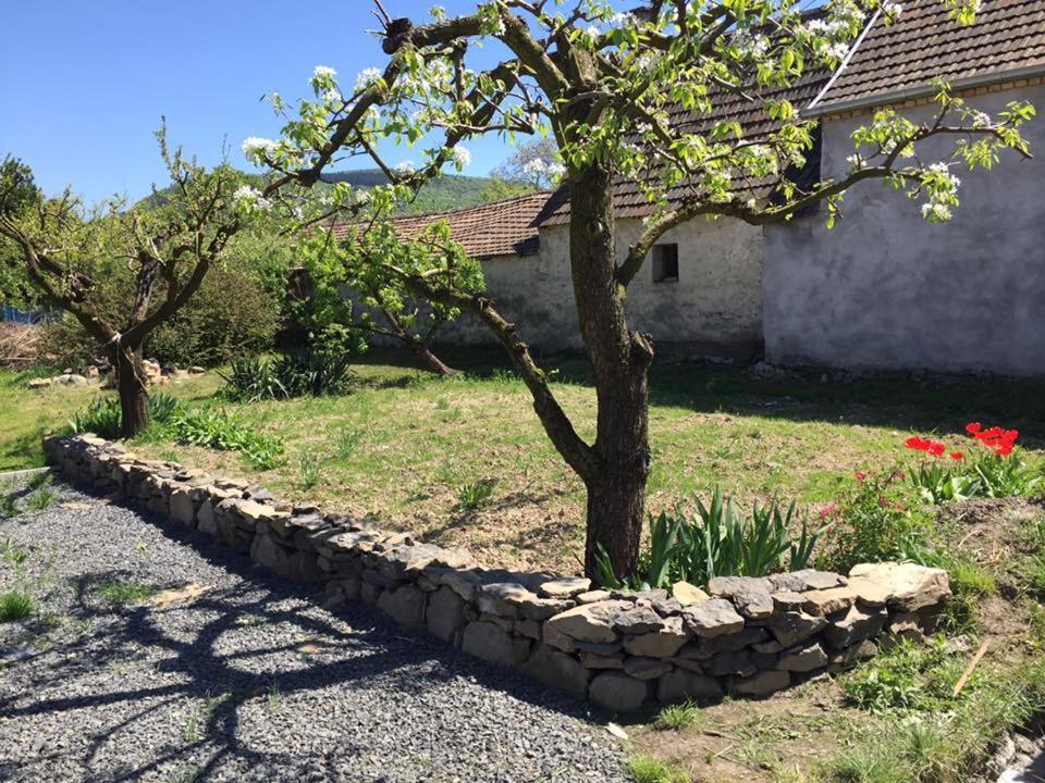Luis Golyas Haza Villa Raposka Dış mekan fotoğraf