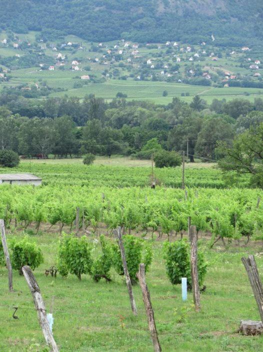 Luis Golyas Haza Villa Raposka Dış mekan fotoğraf